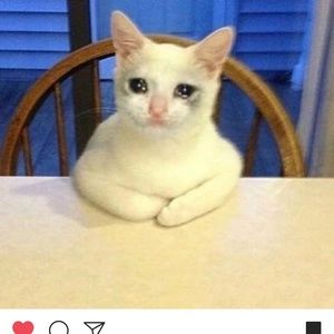 Meet your Posher, Frank